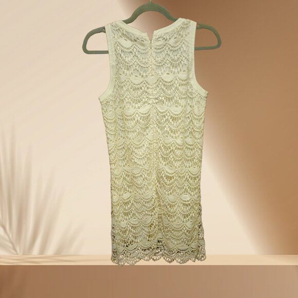 LOFT Cream Lace Shift Dress | Size 4P | Worn Once - Picture 2 of 4